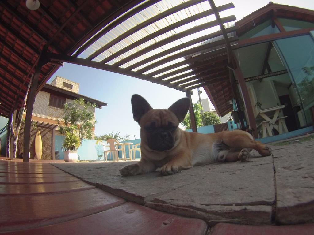 Gokai Hostel ฟลอเรียนอโปลิส ภายนอก รูปภาพ